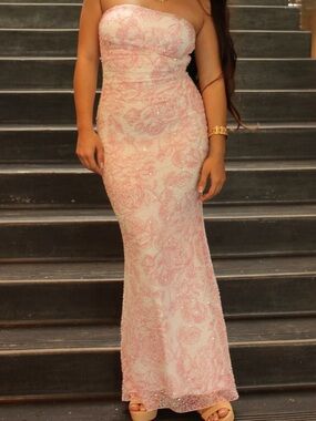 Windsor Strapless Pink Lace Beaded Gown